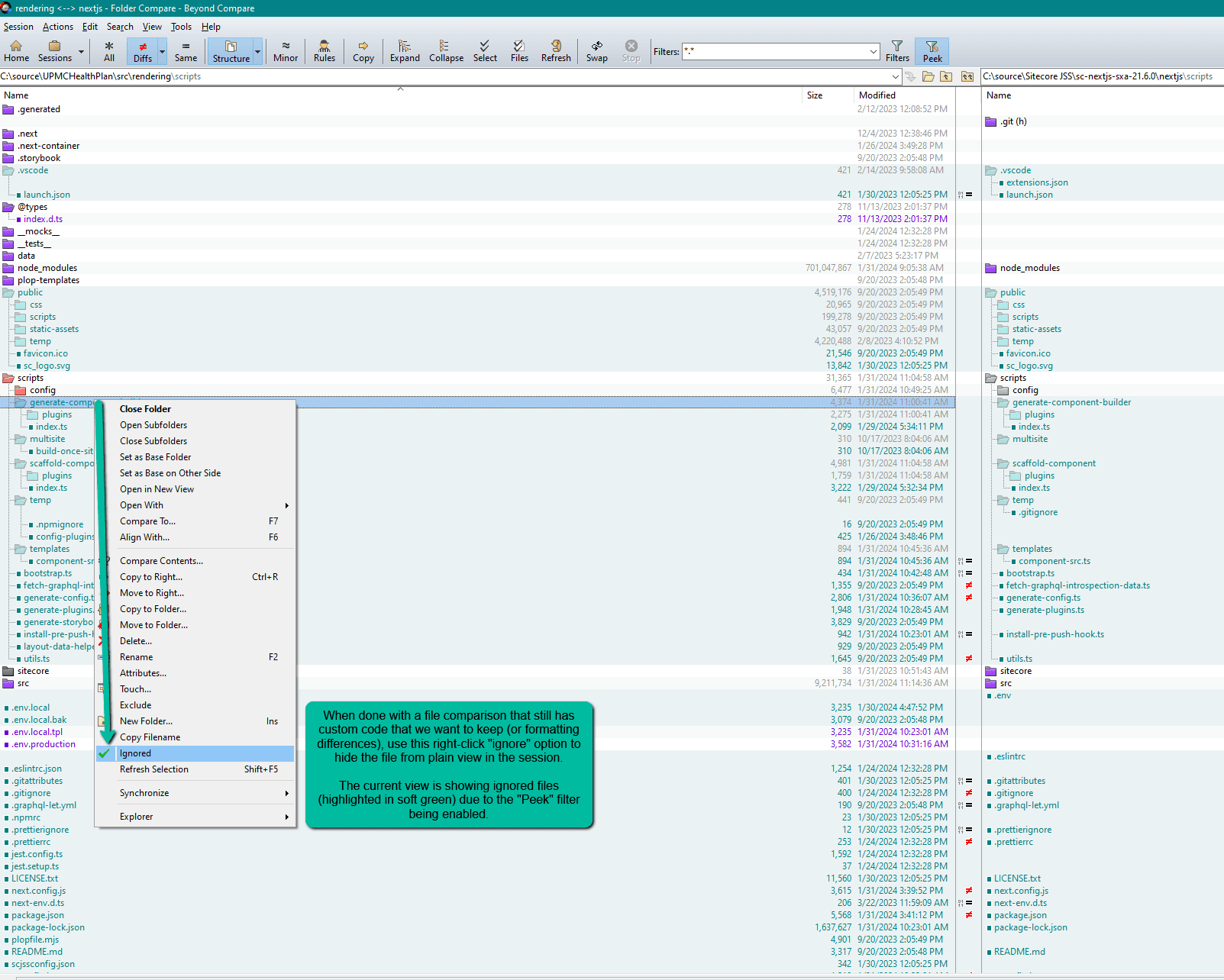 Using Beyond Compare with the ignore file feature